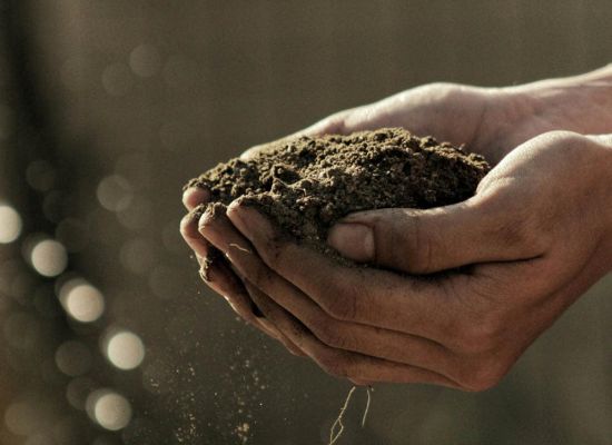 Frugtbar jord og kompost i biodynamisk dyrkning